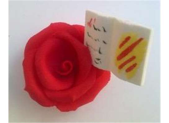 rosa con libro "Sant Jordi"